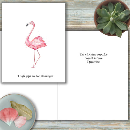 Flamingo Hanukkah